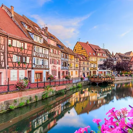 Center - Bright And Large Remparts Apartment Colmar