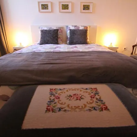 アパート Center - Bright And Large Remparts コルマール